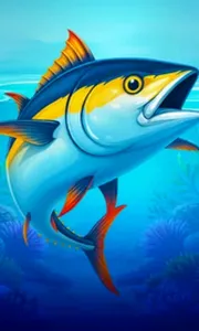 Big Boat Big Catch