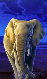 African Elephant